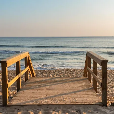 Life District de Faro