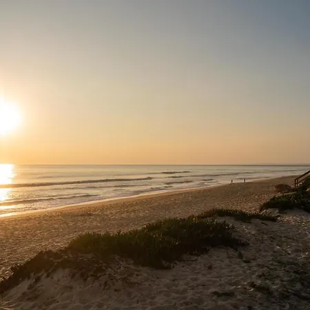 Auberge de jeunesse Life *